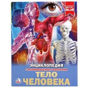 Тело человека. (Энциклопедия А4 с развивающими заданиями). Тв. переплет. 48стр. Умка в кор.15шт 978-5-506-02168-1