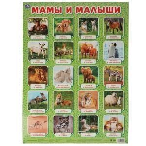 Мамы и малыши. Плакат А2. Умка 978-5-506-05562-4