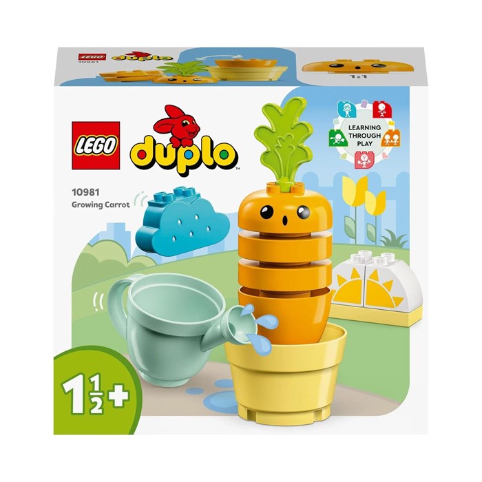 Duplo O'sib borayotgan sabzi 61968997