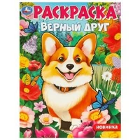 Верный друг. Раскраска. 214х290  мм. Скрепка. 16 стр. Умка 978-5-506-09752-5