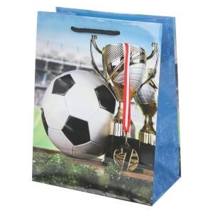 {{photo.Alt || photo.Description || 'Пакет подарочный глянцевый м,футбол,140 гр/м2 ЧУДО ПРАЗДНИК'}}