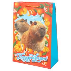 {{photo.Alt || photo.Description || 'Пакет подарочный МАТОВЫЙ ml,капибара,140 гр/м2 ЧУДО ПРАЗДНИК'}}