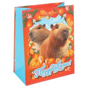 {{photo.Alt || photo.Description || 'Пакет подарочный МАТОВЫЙ м,капибара,140 гр/м2 ЧУДО ПРАЗДНИК'}}