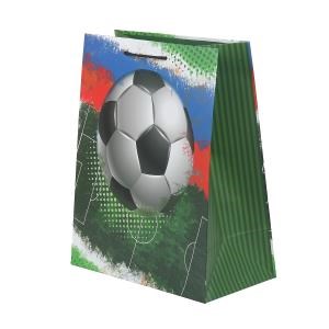 {{photo.Alt || photo.Description || 'Пакет подарочный МАТОВЫЙ l,футбол,140 гр/м2 ЧУДО ПРАЗДНИК'}}