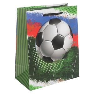 {{photo.Alt || photo.Description || 'Пакет подарочный МАТОВЫЙ м,футбол,140 гр/м2 ЧУДО ПРАЗДНИК'}}