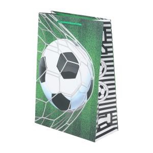 {{photo.Alt || photo.Description || 'Пакет подарочный МАТОВЫЙ ml,футбол,140 гр/м2 ЧУДО ПРАЗДНИК'}}