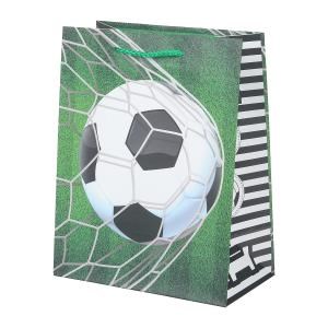 {{photo.Alt || photo.Description || 'Пакет подарочный МАТОВЫЙ м,футбол,140 гр/м2 ЧУДО ПРАЗДНИК'}}