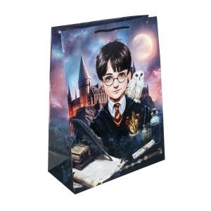 {{photo.Alt || photo.Description || 'Пакет подарочный МАТОВЫЙ xl,школа волшебства,140 гр/м2 ЧУДО ПРАЗДНИК'}}