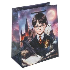 {{photo.Alt || photo.Description || 'Пакет подарочный МАТОВЫЙ м,школа волшебства,140 гр/м2 ЧУДО ПРАЗДНИК'}}