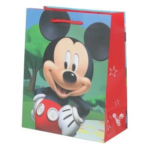 {{photo.Alt || photo.Description || 'Пакет подарочный МАТОВЫЙ м,мышка,140 гр/м2 ЧУДО ПРАЗДНИК'}}