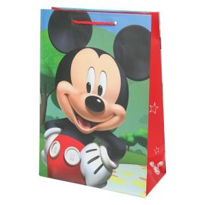 {{photo.Alt || photo.Description || 'Пакет подарочный МАТОВЫЙ ml,мышка,140 гр/м2 ЧУДО ПРАЗДНИК'}}