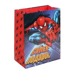 {{photo.Alt || photo.Description || 'Пакет подарочный глянцевый m,супергерой,140 гр/м2 ЧУДО ПРАЗДНИК'}}