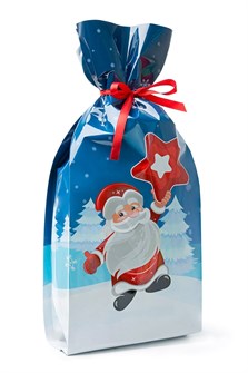 {{photo.Alt || photo.Description || 'Подарок "Пакет На звезде 1,0" 1000г'}}