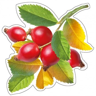 Украшение на скотче 