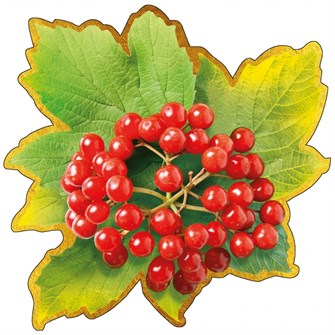 Украшение на скотче 