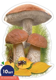 Набор украшений на скотче 