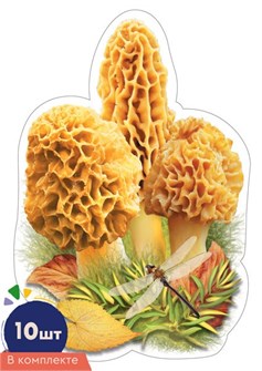 Набор украшений на скотче 