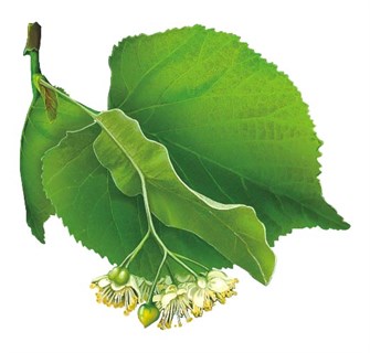 Украшения на скотче 