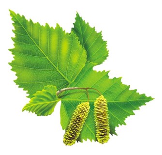 Украшения на скотче 