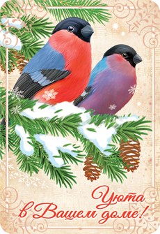 Карманный календарь 2026 