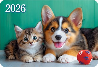 Карманный календарь 2026 