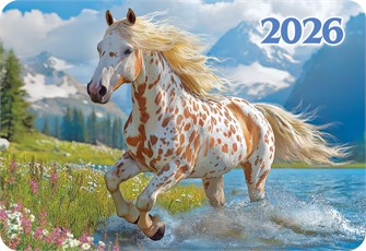 Карманный календарь 2026 