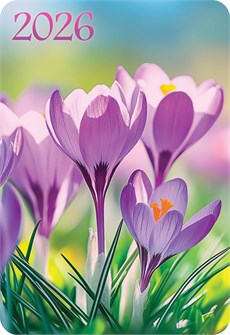 Карманный календарь 2026 