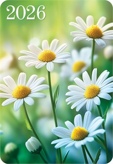 Карманный календарь 2026 