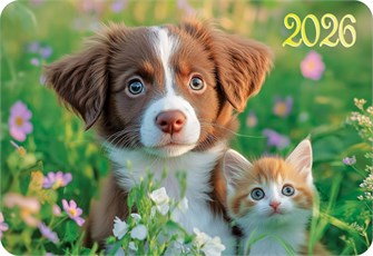 Карманный календарь 2026 