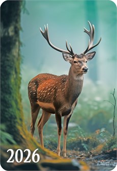 Карманный календарь 2026 