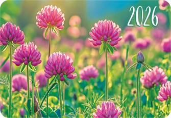 Карманный календарь 2026 