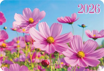 Карманный календарь 2026 