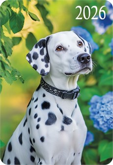 Карманный календарь 2026 