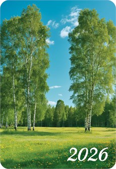 Карманный календарь 2026 