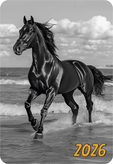 Карманный календарь 2026 