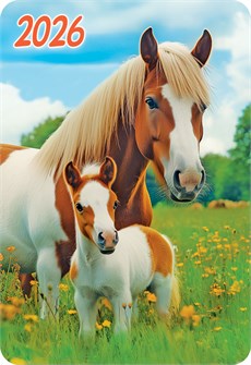 Карманный календарь 2026 