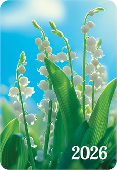 Карманный календарь 2026 