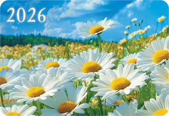 Карманный календарь 2026 