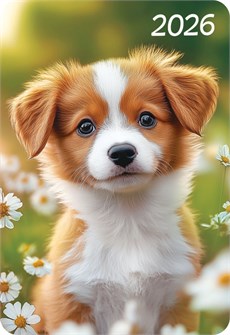 Карманный календарь 2026 