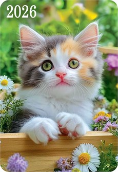 Карманный календарь 2026 