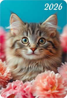 Карманный календарь 2026 