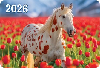 Карманный календарь 2026 "Символ года" КГ-26-193 КГ-26-193