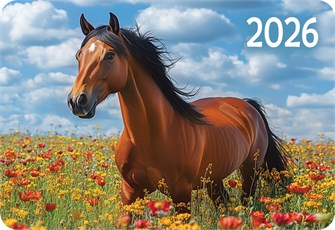 Карманный календарь 2026 "Символ года" КГ-26-198 КГ-26-198