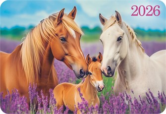 Карманный календарь 2026 "Символ года" КГ-26-195 КГ-26-195