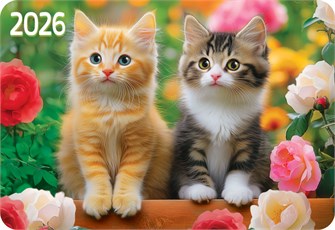Карманный календарь 2026 "Кошки" КГ-26-338 КГ-26-338