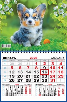 Квартальный одноблочный календарь 2026 "Собаки. Пушистое чудо" ККМ-26-011 ККМ-26-011