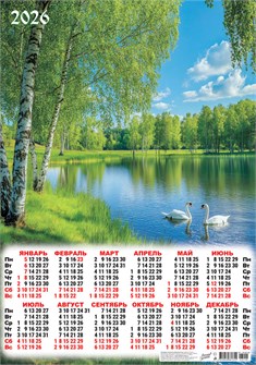 Листовой календарь на 2026 год А2 "Природа. Белые лебеди" ПО-26-158 ПО-26-158