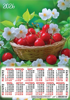 Листовой календарь на 2026 год А3 "Ягоды. Вишня в цветах" ПМ-26-191 ПМ-26-191