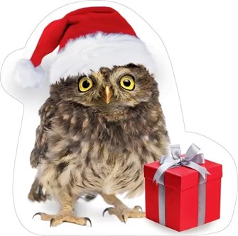 Украшение на скотче 