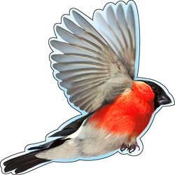 Украшение на скотче 